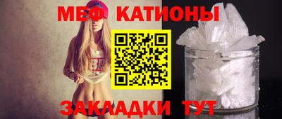 прущие грибы Кингисепп