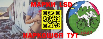 прущие грибы Кингисепп
