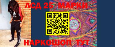 прущие грибы Кингисепп