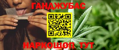 прущие грибы Кингисепп