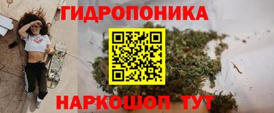spice Кинель