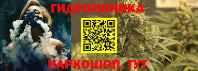 spice Кинель