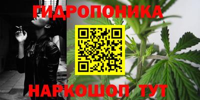прущие грибы Кингисепп