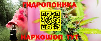 прущие грибы Кингисепп