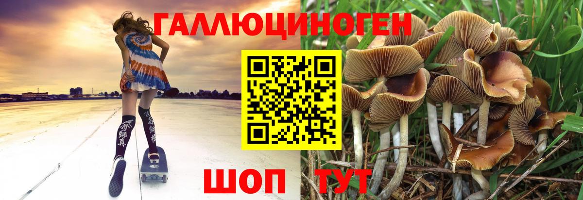 Ялуторовск  Галлюциногенные грибы Magic Shrooms  Вход с VPN 
